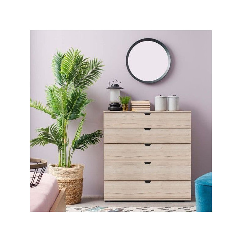 Ghadir 6 Drawer Storage Drawer