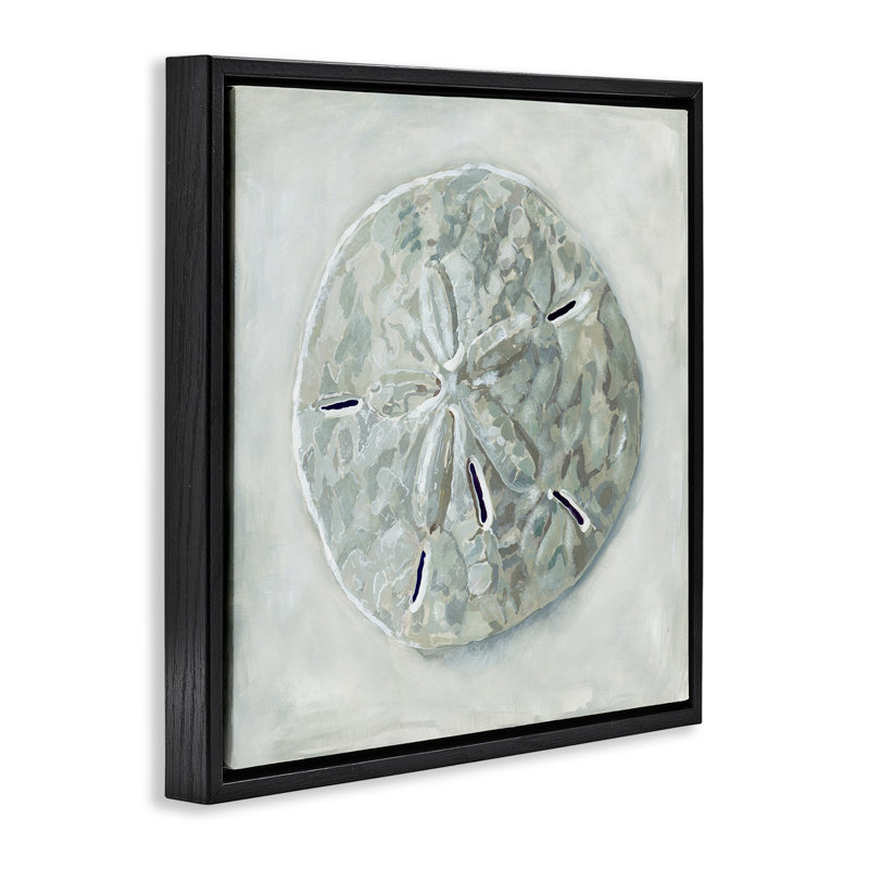 Coquillage gris, Cadre flottant noir de jais, H 25 po x l 25 po