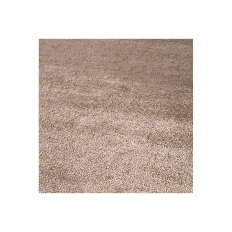 Asuri No Pattern And Not Solid Color Area Rug in Brown, Rectangle 9'10.11" x 13'1.48"