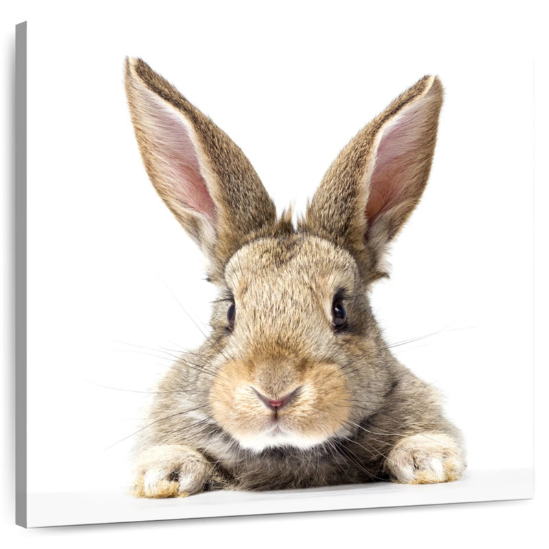 Crowle Fluffy Easter Rabbit, 30" H x 30" W