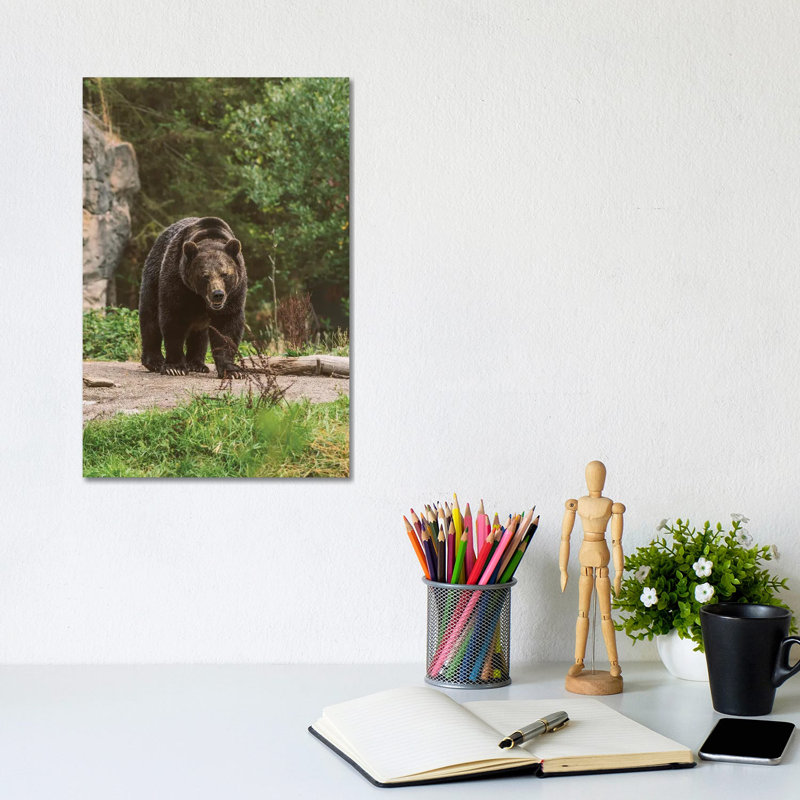 Max Load by Louis Ruth - Wrapped Canvas Print, 30.48cm H x 20.32cm W x 1.905cm D