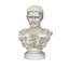 Caesar Primaporta Roman Emperor Bust