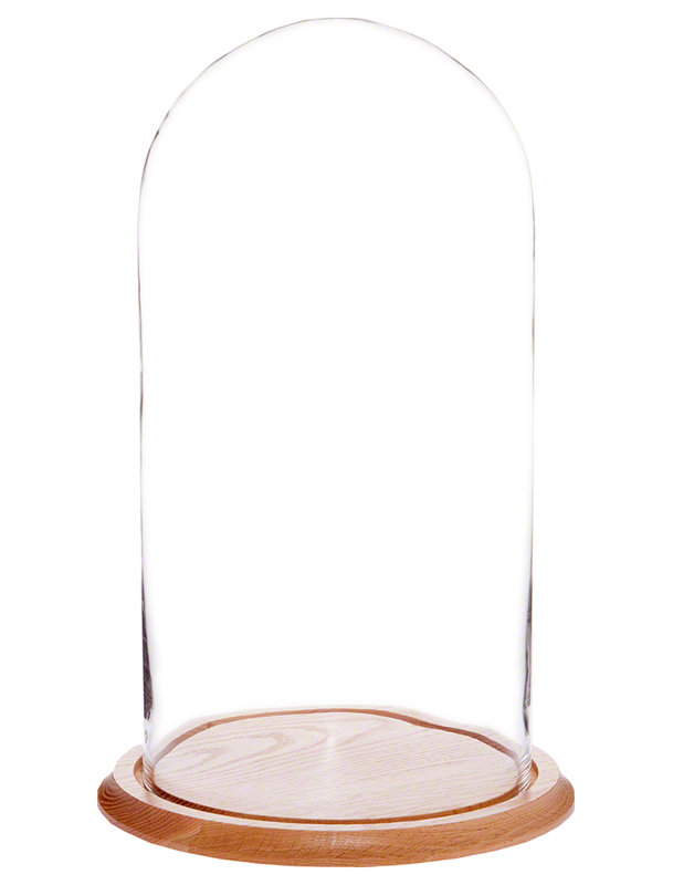 Cloche en verre Vucciria, Sans base, H 20 po x l 9,75 po x P 9,75 po