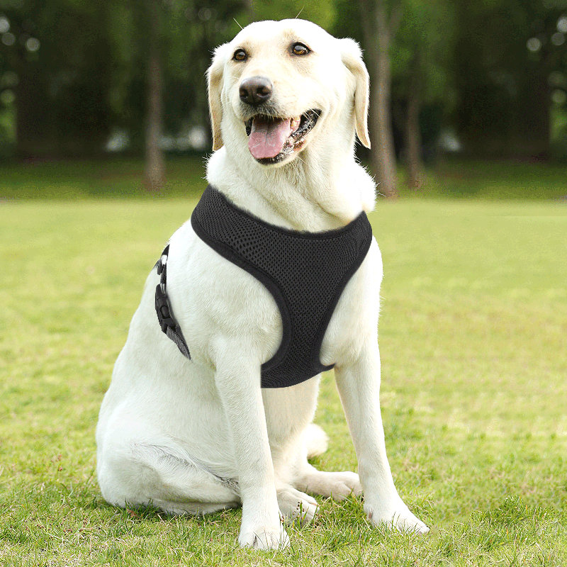 Harnais pour chien en maille, harnais anti-traction ajustable et rembourré avec anneau en D et boucle pour chiens, Noir