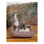 Tapis pour lit de qualité supérieure Rugs.com-100613957-110734659