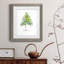 Larbre - reproduction de cadre photo sur papier-458750323-458750345
