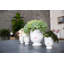 Handmade Ceramic Jar-1795429155-1795429156
