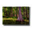 «Spring In The Bayou» par Rick Berk, art mural sur toile-2116619612