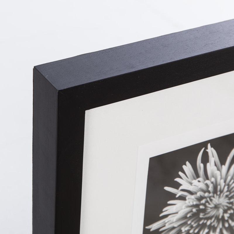 Black Blossom - D Print
