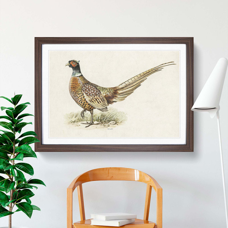 Ring-Necked Pheasant by Von Wright - Picture Frame Painting Print on MDF, Walnut Framed, 48cm H x 65cm W x 2cm D