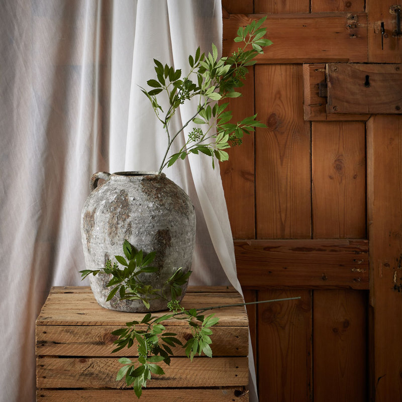 Anastasija Arrangement
