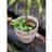 Tasha Red Terracotta Planter-2036963057