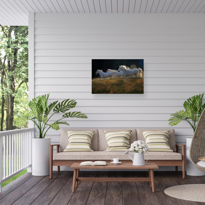 «Milan Malovrh Riding The Field on Canvas» par Milan Malovrh, reproduction