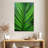 Harnek Leaf Lines-108257609