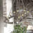 Hunter Saddlewood 10 Light Linear Chandelier Light Fixture