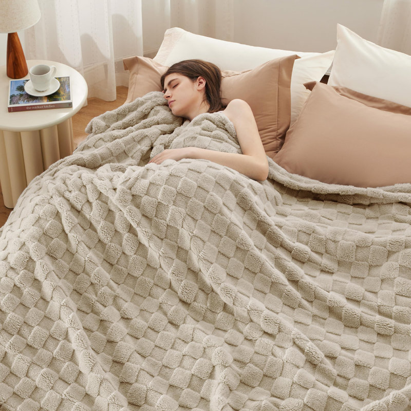 Bedsure 269gsm Fleece Blanket For Couch - Super Soft Cozy Blankets For Women GentleSoft™️, Queen, Light Brown