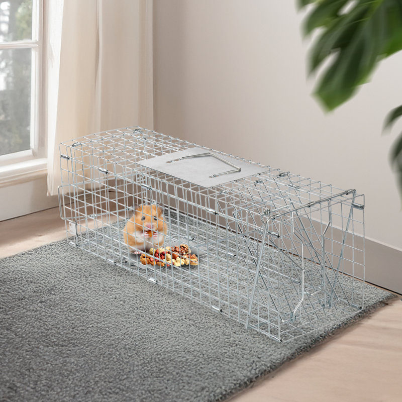 Siphon en fer pour petits animaux, H 8,5 po x l 24 po x P 7,7 po