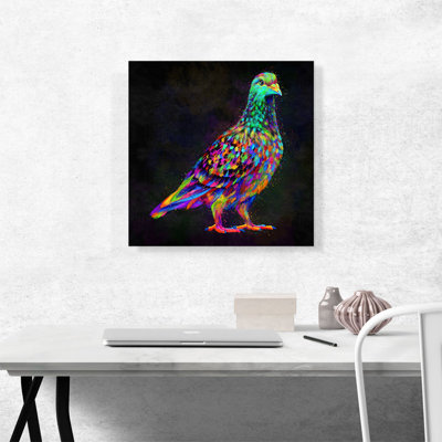 Pigeon colombe - impression sur toile tendue