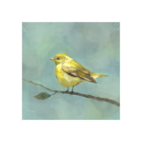 Baby Bird II Painting by Beverly Fuller