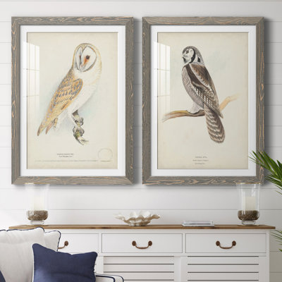 " Barn Owl " 2 - Pieces