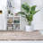 Striped Indoor Rug-1026829602