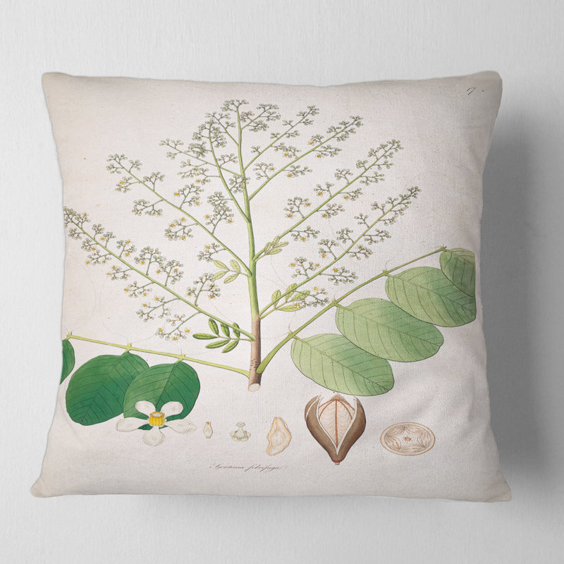 Housse et insert de coussin Botanicals, 16" x 16"