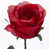 rouge est en rupture de stock