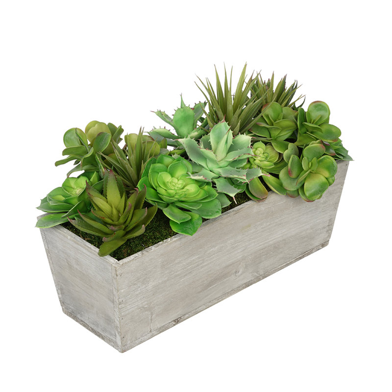 Plante grasse artificielle 5,5 po en pot, Gris