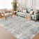 Distressed Abstract Non Slip Washable Area Rug(9'X12', Grey)