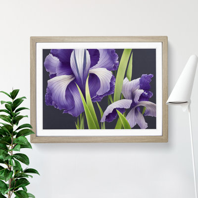 Engaging Iris Flowers - Single Picture Frame Print