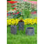 Jardinières en pot-69177144