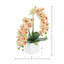 Orchid Arrangement in Square Fiberstone Pot-808760901