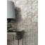 Plutone Taupe 7.75" x 23.38" Decorated Glass Tile