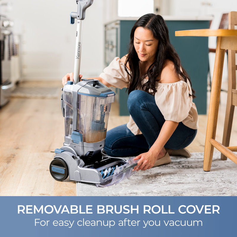RevitaLite Carpet Cleaner