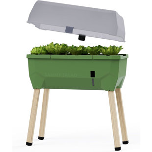 Sammy Salad Raised Bed Planter for Green Leaves, Removable Lid, Self-Watering, 15L Water Tank, 40L Soil