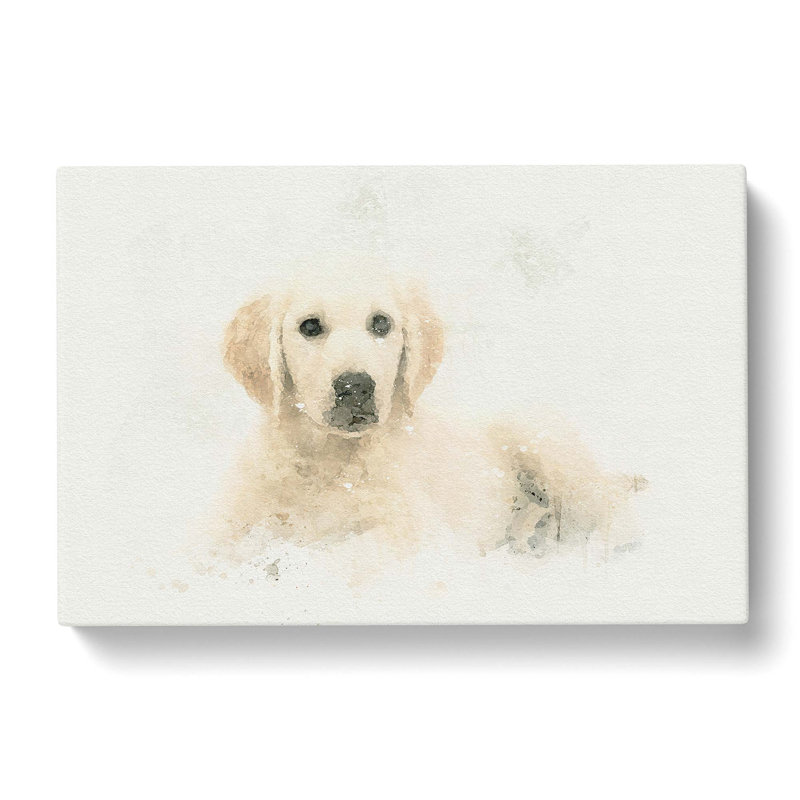 A Golden Retriever Puppy In Abstract - Wrapped Canvas Print, 50cm H x 76cm W x 3cm D