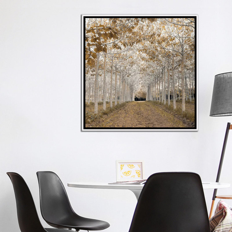 « white gold », reproduction de photo sur toile, H 26 po x l 26 po, Impression encadrée, Blanc