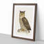 Eurasian Eagle-Owl by Von Wright - Picture Frame Painting Print-55725978-55725979