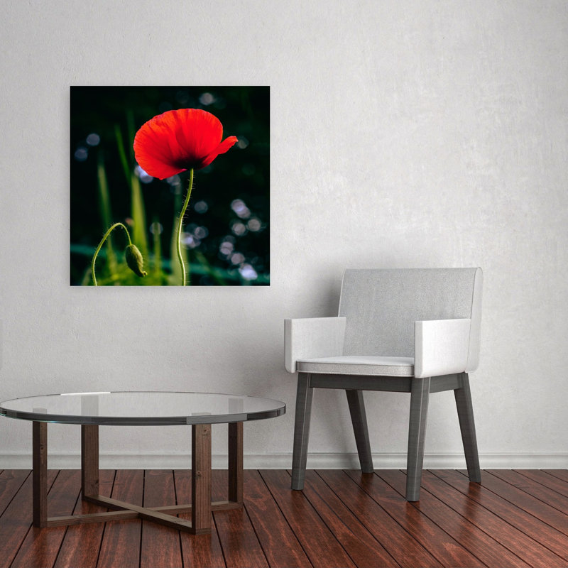 «Vibrant Red Poppy Delicate Romantic Vibrant Poppy Flower Nature», reproduction d'art murale, H 18 po x l 18 po