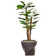Panama 58'' Artificial Scindapsus Aureus Tree in Planter
