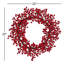 Couronne de plastique 22 po berry