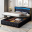 Danayjah Upholstered Bed-803665019-803665021