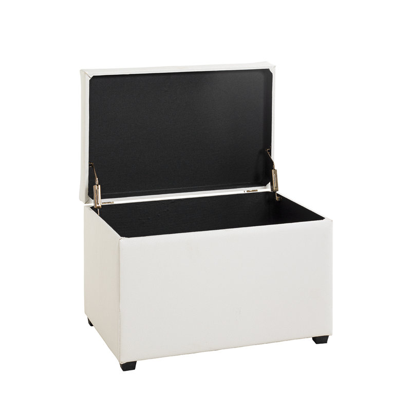 Meilich Faux Leather Accent Trunk