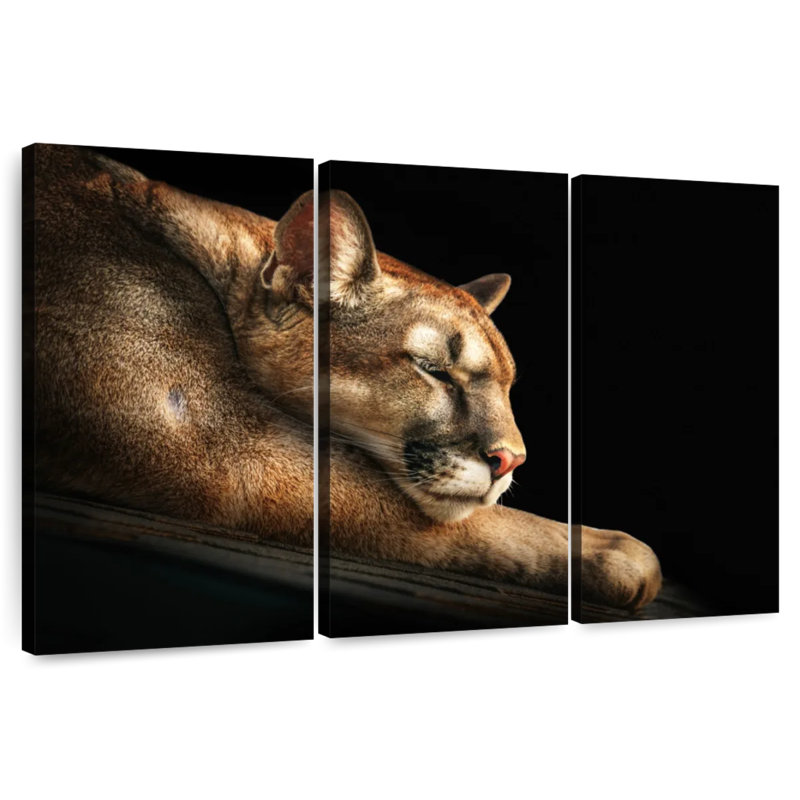 Cougar Brampt endormi, H 28 po x l 45 po