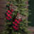 21" Fur Black/Red Buffalo Plaid Stocking