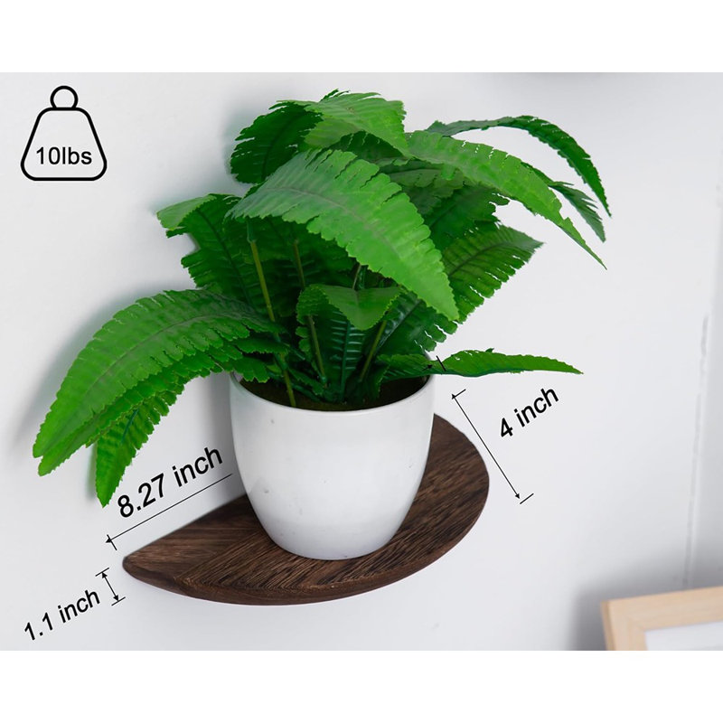 Solid Wood Half Round Floating Wall Shelves | Elegant Floating Shelves, Elevate Your Space. Perfect For Living Rooms, Bathrooms, Bedrooms, Offices, Children's Rooms
