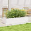 Amiela Planter Box-918828455-918828458