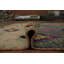 Tapis marocain multicolore Radiant 8 x 11 A Boho Chic
