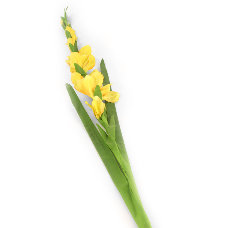 Silk Iris Arrangement, Yellow, 122cm H x 12cm W x 10cm D