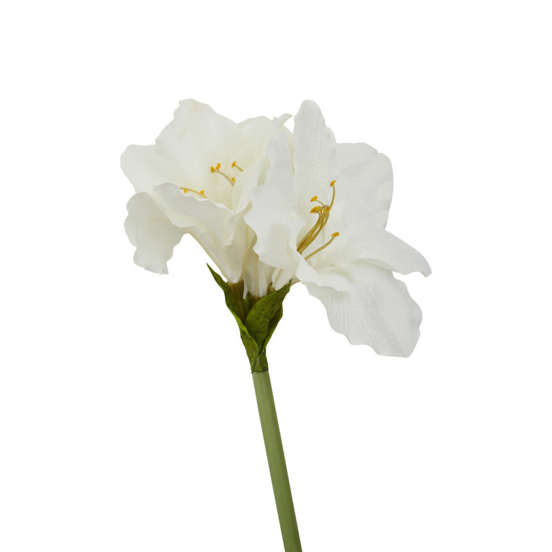Fiori Amaryllis Arrangement